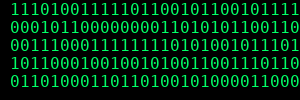 Chatbot typing binary